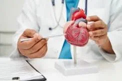 Cardiologist-Approved Daily Habits to Keep Blood Pressure Below 120/80