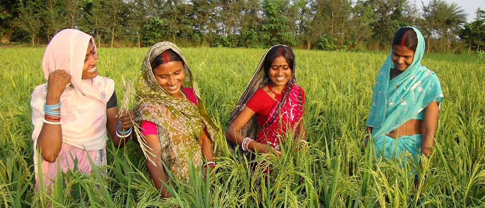Women Are Reshaping Agriculture: How Farmers, Researchers and Agri-Tech Innovators Are Changing the Sector