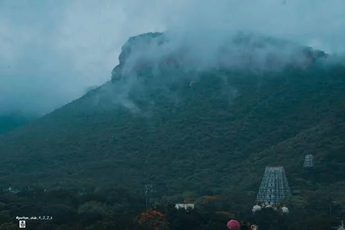 Tirupati–Tirumala Rain Alert: Fog Covers Ghat Roads as TTD Advises Pilgrims to Stay Cautious